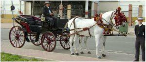 Historia de los carruajes en Sevilla 3 http://www.carruajestroncoso.com/