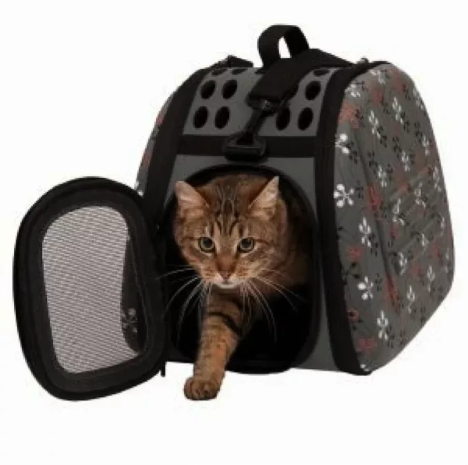 Bolsos viajar gatos.