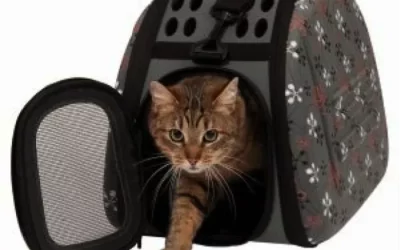 Inicio 17 Bolsos viajar gatos.