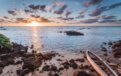 Hoteles en Conil para poner a prueba tu coche